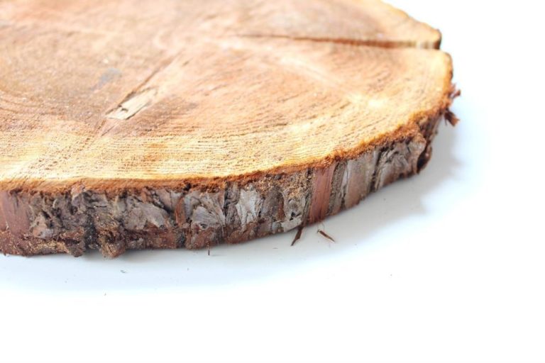 Large Wood Round Slabs - The Style Aesthetic