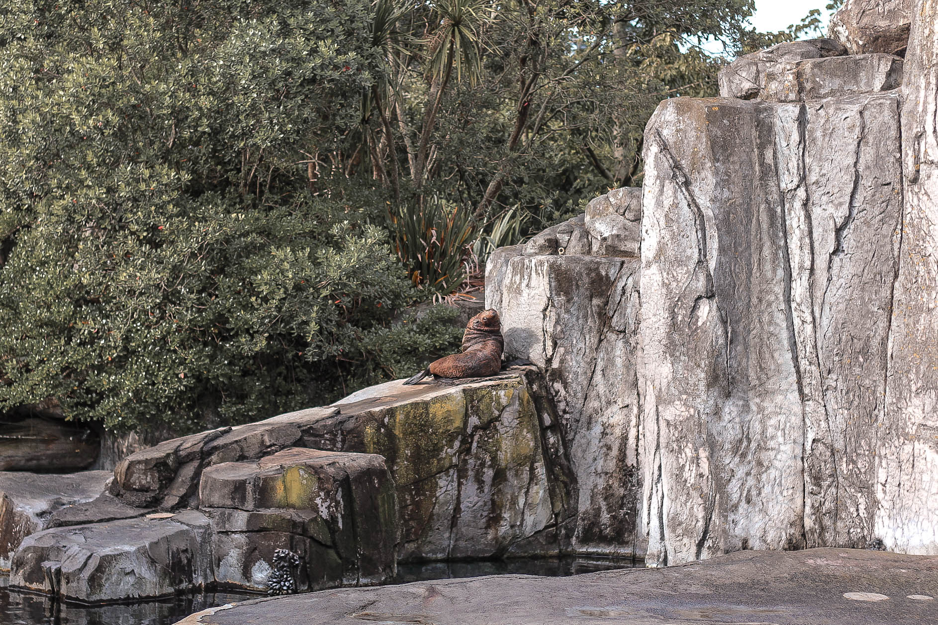 The Style Aesthetic | School Holiday Blog Post | Auckland Zoo 