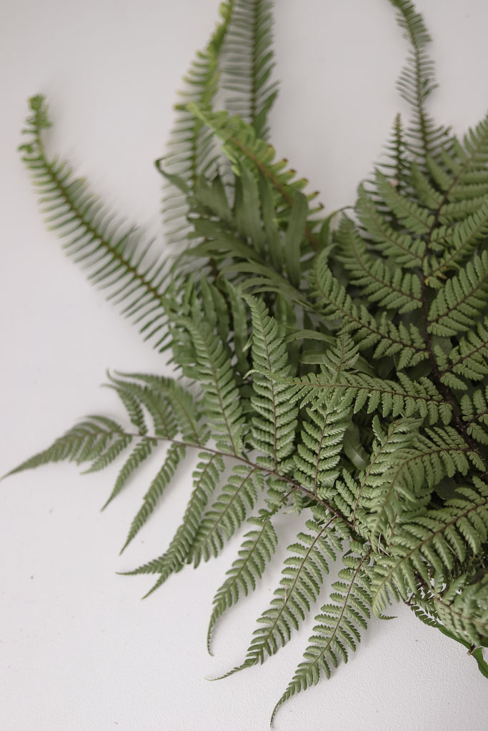 The Style Aesthetic | Foraging for Foliage | New Zealand Lifestyle Blog