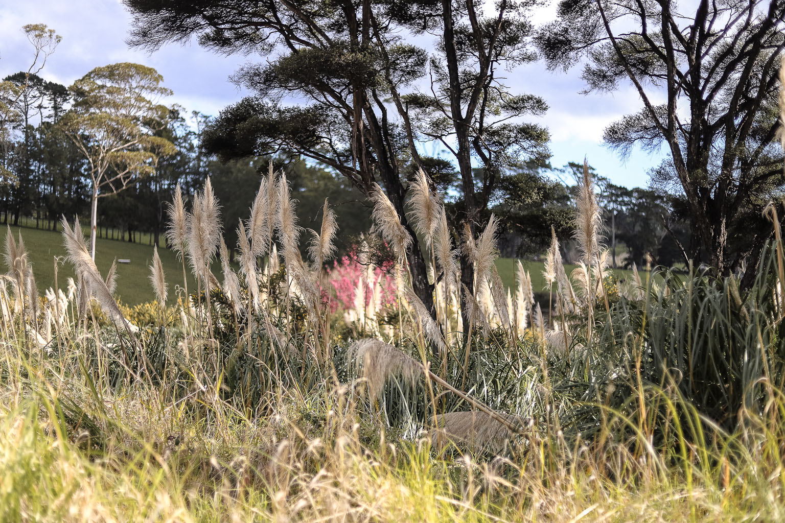 The Style Aesthetic | Foraging for Foliage | New Zealand Lifestyle Blog