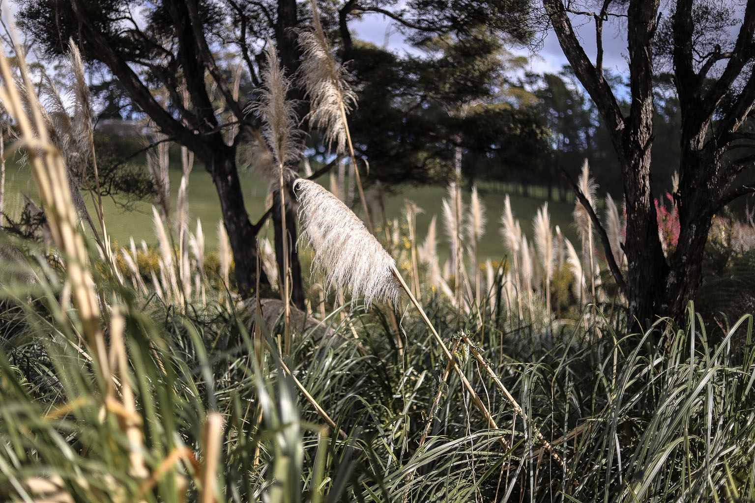 The Style Aesthetic | Foraging for Foliage | New Zealand Lifestyle Blog