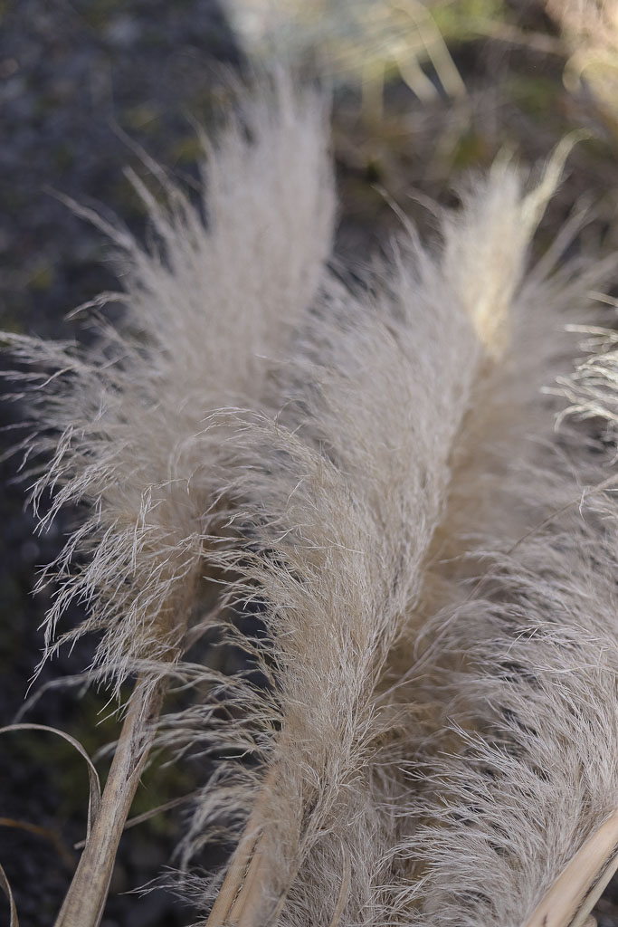 The Style Aesthetic | Foraging for Foliage | New Zealand Lifestyle Blog